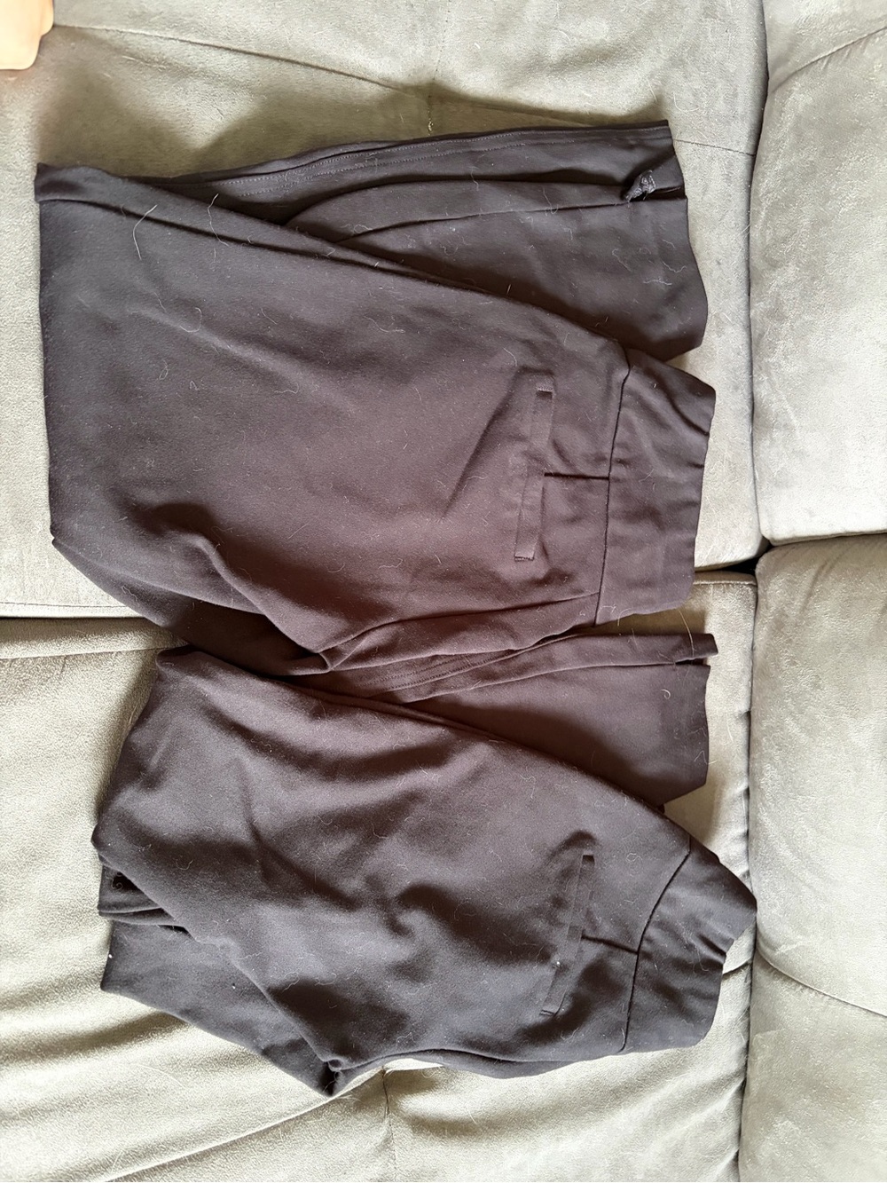 Express Ankle Pants